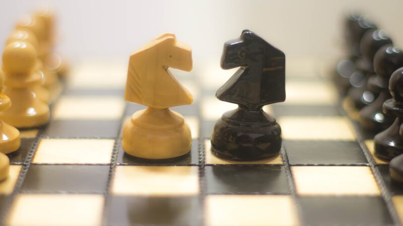 Otwarte Mistrzostwa Puław w szachach! Wystąpisz?