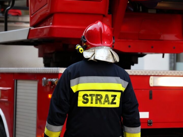 Strażacy z Wąwolnicy ratują konia w niezwykłej akcji w stajni