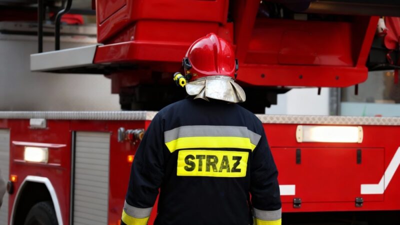 Strażacy z Wąwolnicy ratują konia w niezwykłej akcji w stajni