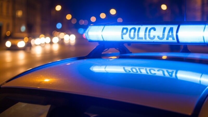 25-latek zatrzymany za brutalne uśmiercenie psa w lesie w Trzciankach
