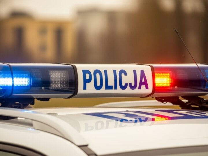 Psy w lesie uwięzione w pętlach – policja bada sprawę znęcania się nad zwierzętami