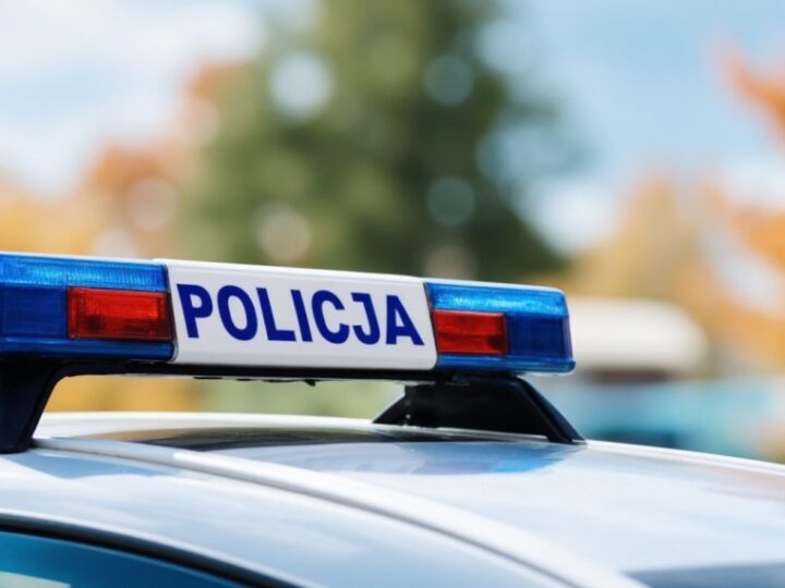 Młodzi mężczyźni z Puław napadli na mieszkańców z kijem bejsbolowym i nożem, trafili do aresztu
