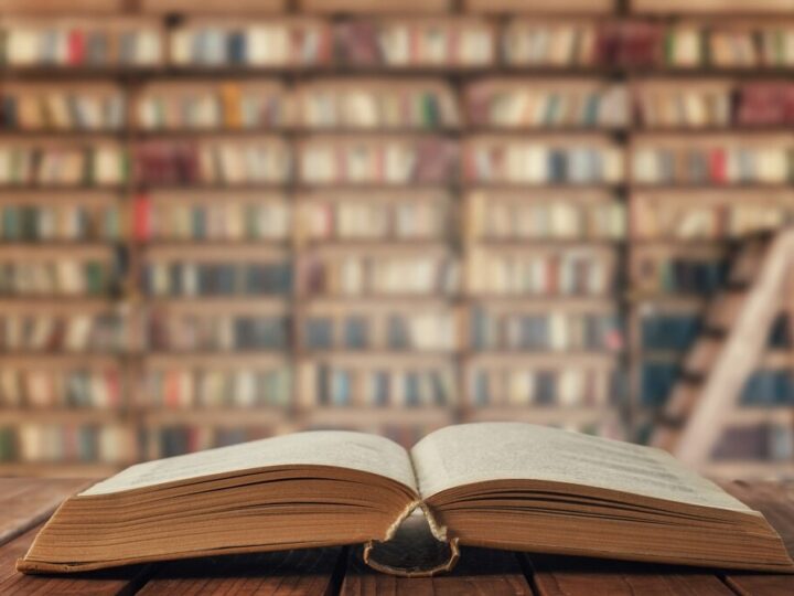 Kniaźnin na nowo: humor i emocje w poezji w Puławach