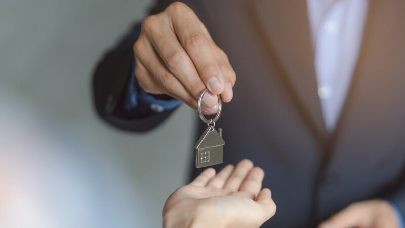 SIM Wschód – nowa era tanich mieszkań na wynajem w Puławach