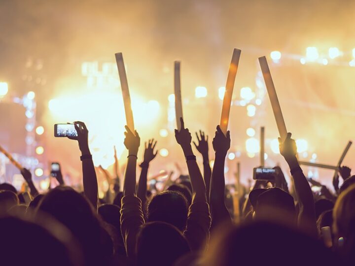 Świąteczny koncert Reprezentacyjnego Zespołu Artystycznego Wojska Polskiego w Puławach
