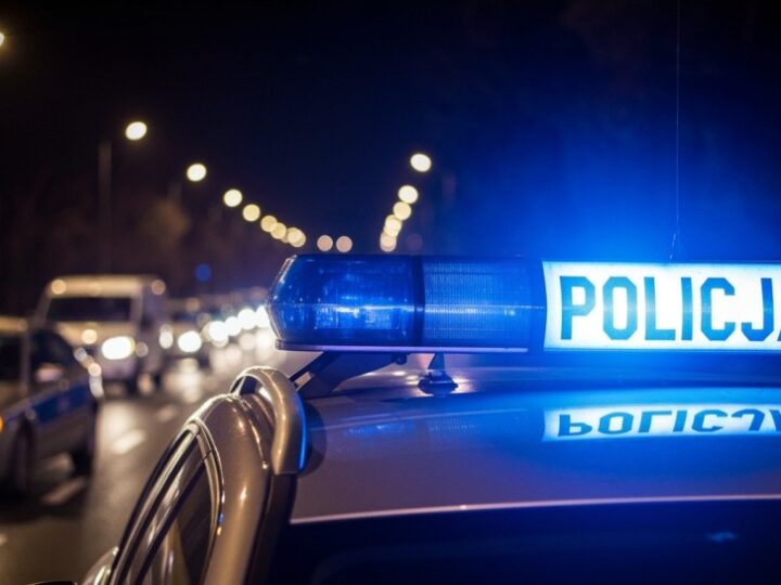 Wspólny patrol łapie pijanego kierowcę bez uprawnień w Puławach