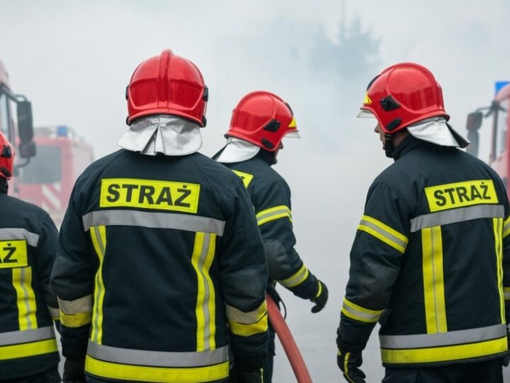 Pożar drzewa i uratowany jeż – bohaterowie strażaków z Nałęczowa
