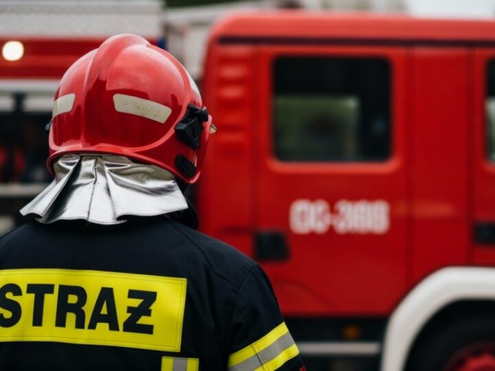 Strażacy w Nałęczowie ratują drogi przed powalonymi drzewami