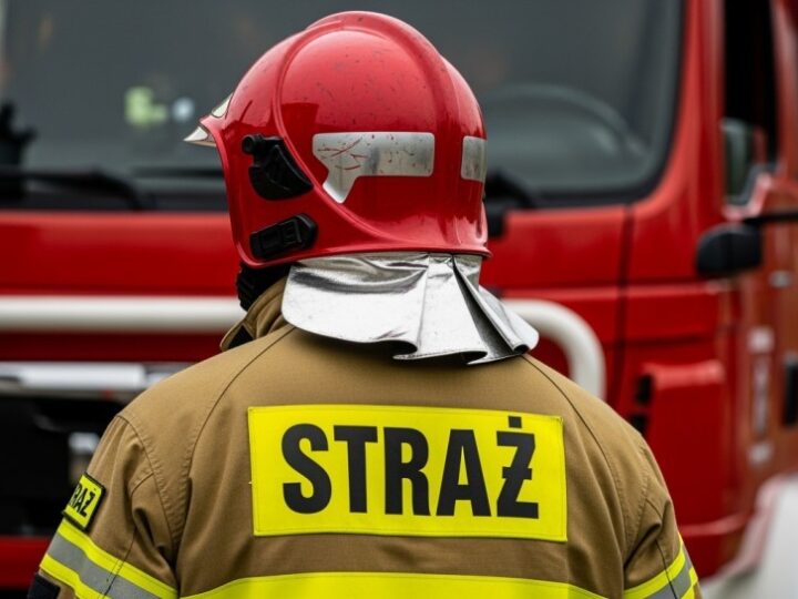 Strażacy w Nałęczowie w akcji: usuwanie powalonych drzew
