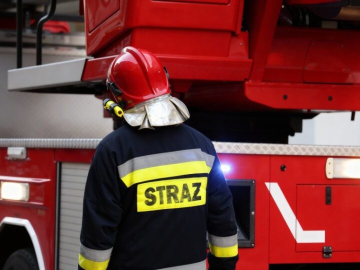 Dezinformacja rozprzestrzenia się szybciej niż ogień w Puszczy Solskiej!