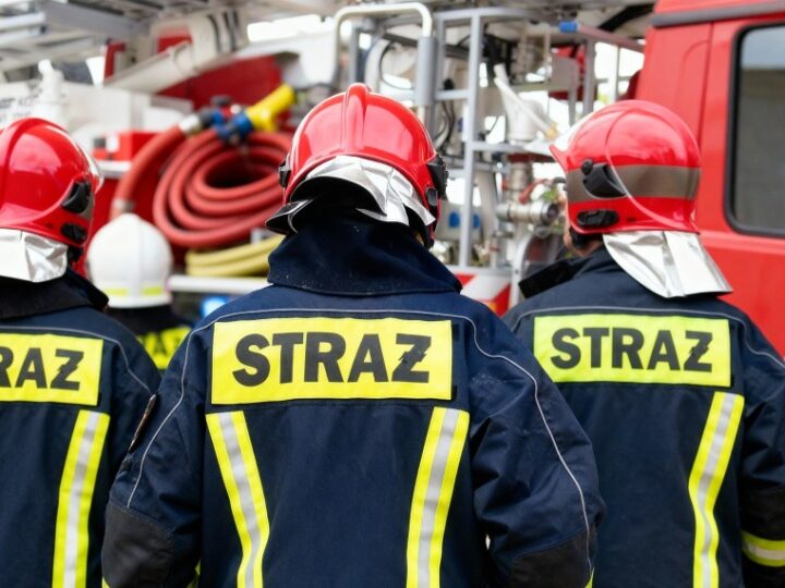 Niebezpieczne drzewa w Nałęczowie: Strażacy w akcji