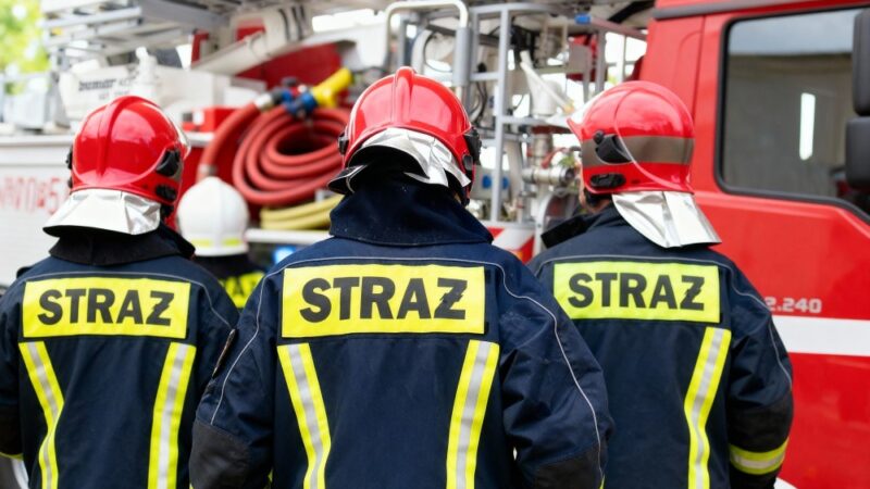 Niebezpieczne drzewa w Nałęczowie: Strażacy w akcji
