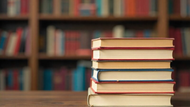 Czerwcowe atrakcje w Bibliotece Miejskiej w Puławach