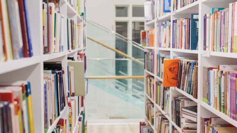 Konferencja Naukowa: Prawda, dobro i piękno w poezji Jana Pocka
