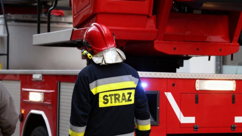Nowe władze i odznaczenia na XIII Zjeździe OSP w Żyrzynie