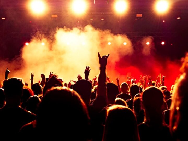 Muzyczne spotkania w Pałacu Czartoryskich – bezpłatne koncerty w Puławach