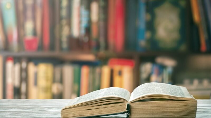 Katarzyna Adamowska-Kane nową dyrektorką Biblioteki Publicznej w Puławach