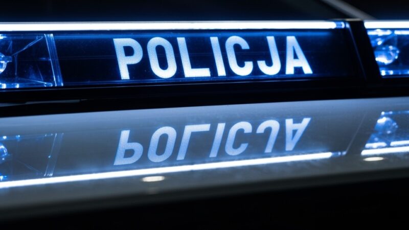 Akcja „Alkohol i Narkotyki”: 3500 kontroli kierowców w Puławach