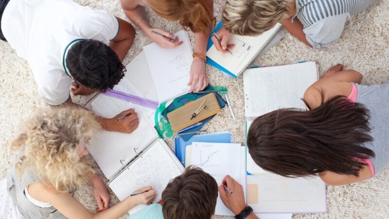 Odkryj tajemnice przyrody na wycieczce edukacyjnej dla rodzin