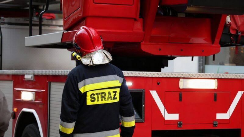 Interwencje OSP Wąwolnica: Usuwanie zagrożeń w sierpniu i wrześniu 2026