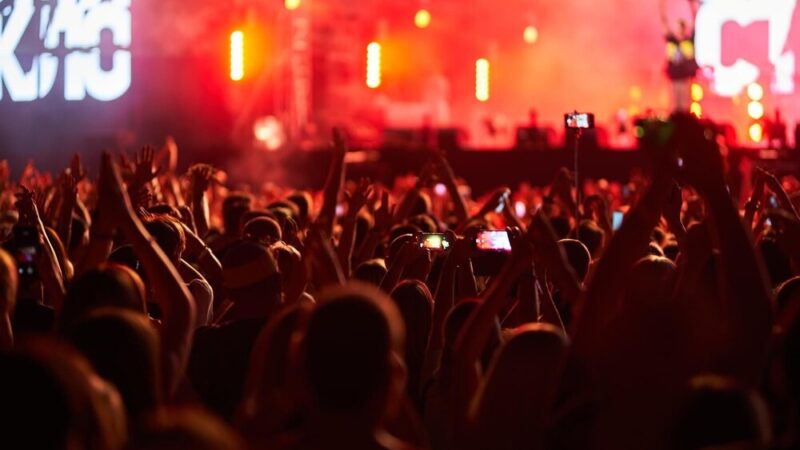 Koncert z przytupem: Muzyczna uczta na wiejskim podwórku!