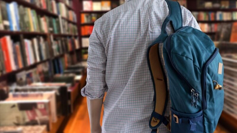 Odkryj fascynujący świat owadów: edukacyjna wycieczka przyrodnicza w Puławach